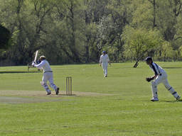 Cricket is a great outdoor sport
