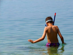 Snorkelling is just one exciting summer holiday activity!