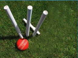 A simple cricket set to play in your backyard