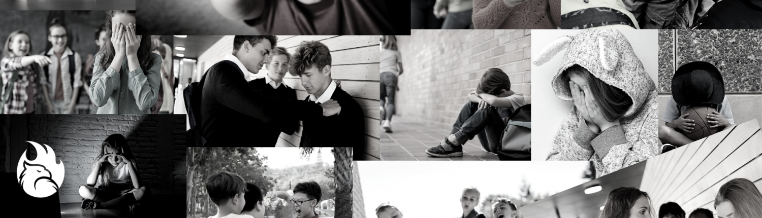 9 STRATEGIES TO BE PREPARED FOR BULLIES