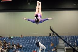 Aerial gymnastics
