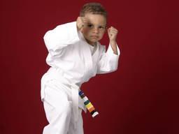 Karate Practice