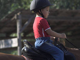 Horse Riding Lessons