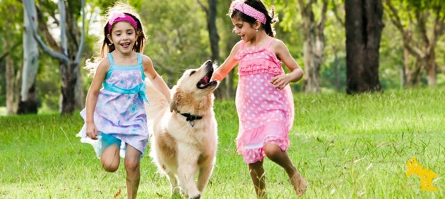 Five fun kids friendly activities to do with your family pet - rain or shine!