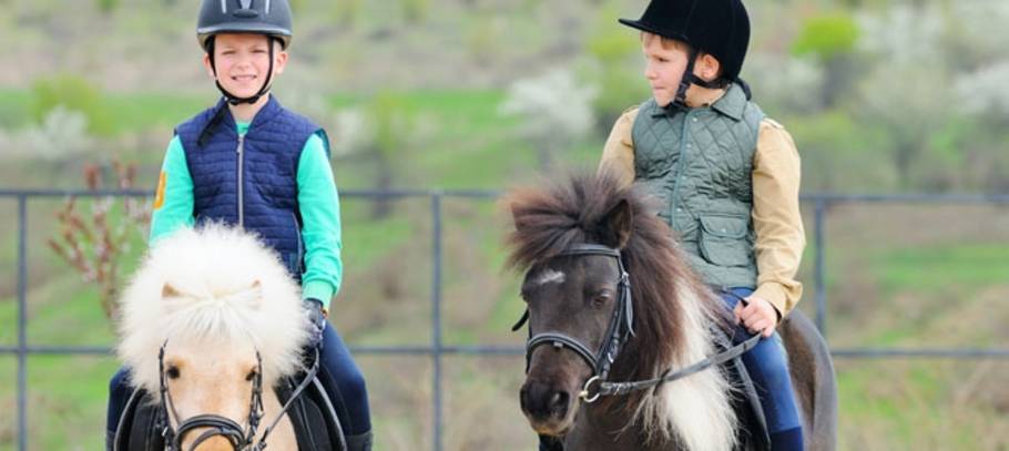 The many emotional benefits of horse riding