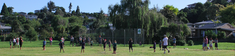 Free 'Have A Go' Days and Opening weekend 2019! Tauranga (3110) Softball Associations 4 _small