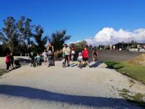 BMX CLUB NIGHTS in Waikato Region Forest Lake (3200) BMX Racing Clubs 4 _small