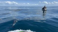 Hibiscus JetSki Hire &amp; Tours Fishing Experience Manly (0930) Adventure 4 _small