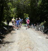 Motu Road, Suitable all riders. Level of fitness required