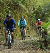 Pakihi Track. Suitable for all riders with some experience