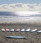 Early Morning Lesson