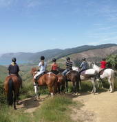 Horse Trekking