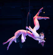 The Dust Palace Show 'Human'