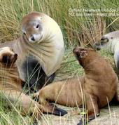 Newhaven Holiday Park Owaka (9535) Family Holidays 1_small