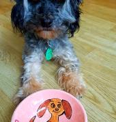 Paint & Create Ceramic Painting Meadowbank (1072) Painting 3_small