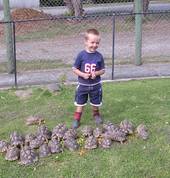 Jake helps feed young leopard tortoises