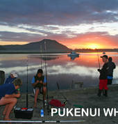 Fishing at the Pukenui Wharf