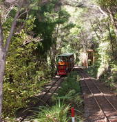 Zig zagging through the bush