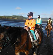 Muriwai Beach is Aboutriding Ltd Waimauku (0812) Horse Riding Coaches & Instructors 1_small