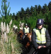 Muriwai Beach is Aboutriding Ltd Waimauku (0812) Horse Riding Coaches & Instructors 3_small