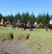 Muriwai Beach is Aboutriding Ltd Waimauku (0812) Horse Riding Coaches & Instructors 5_small
