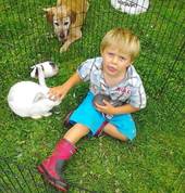 Andrew plays at home with the rabbits and guniea pigs.