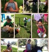 Kaikohe April 2014  promotion morning.