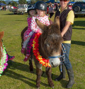 Ponies Plus Limited Tauranga (3110) Mobile Farm & Animals 1_small