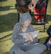 Ponies Plus Limited Tauranga (3110) Mobile Farm & Animals 3_small