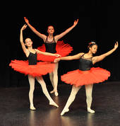 Dance Fusion Concert Ballet - Bream Bay Ballet School