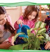 Nurtured at Home Tauranga South (3112) Home Care 4_small