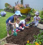 The vegie garden is always interesting