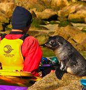 Whenua Iti Outdoors Upper Moutere (7173) Outdoor & Adventure School Holiday Activities 4_small