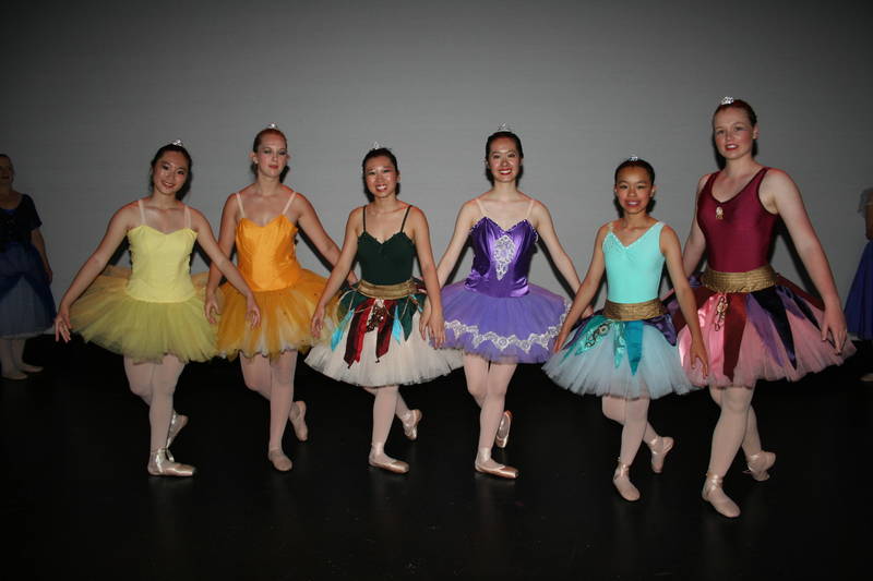 Lily Fong Ballet Academy Ballet Dancing Schools for Kids