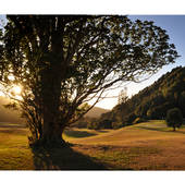 Waitakere Golf Club Waitakere (0614) Golf Clubs 1_small