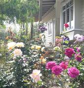 An Olde Mill House B and B and Cycle Hire in Renwick Renwick (7204) Adventure 1_small