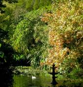 Katikati Bird Gardens Aongatete (3178) Cafes with kids Play Areas 3_small