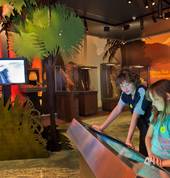 Nga Pumanawa o Te Arawa - The Beating Hearts of Te Arawa, Rotorua Museum