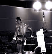 JAI - Thai Boxing Gym Te Aro (6011) Kickboxing Clubs 1_small