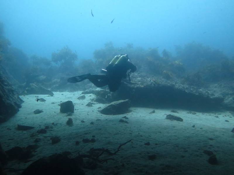 Dive Now Whangarei Scuba Diving Courses for Kids ActiveActivities