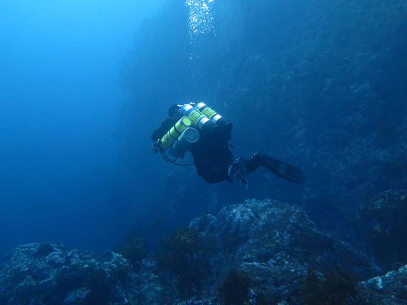 Dive Now Whangarei Scuba Diving Courses for Kids ActiveActivities