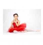 Taylor's Academy of Dance and Aerobics Bucklands Beach (2012) Ballet Dancing Classes & Lessons 2_small