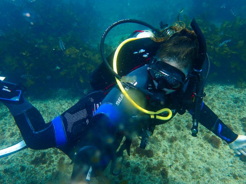 Goat Island Dive and Snorkel Scuba Diving Courses for Kids