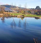 Wals Plant Land Mosgiel (9024) Mini Golf (Putt Putt) Golf 1_small
