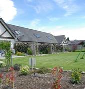 Huge backyard and patio areas