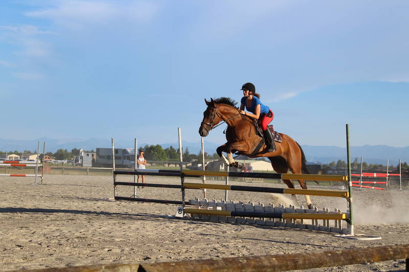 Carolin's Horse Riding School - Horse Riding Classes & Lessons for Kids ...