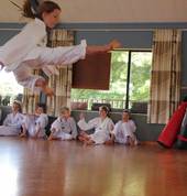 Koryobop, Taekwondo - Wellness Tai-Chi Omokoroa Omokoroa (3172) Taekwondo Clubs 2_small