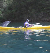 Wildlife possibilities