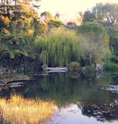 Wrights Water Gardens Patumahoe (2679) National Parks 5_small