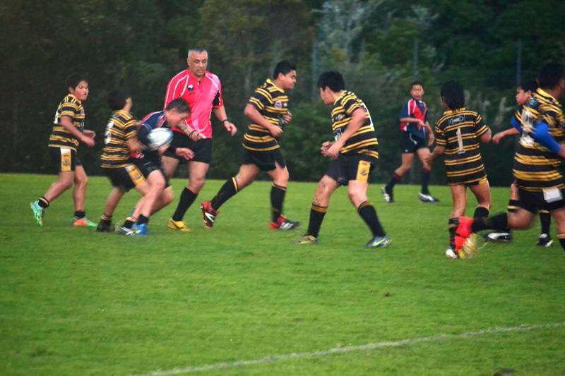 Northcote and Birkenhead Tigers Rugby League and Sports Club - Rugby ...